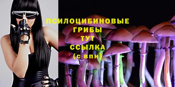 Альфа ПВП Беломорск