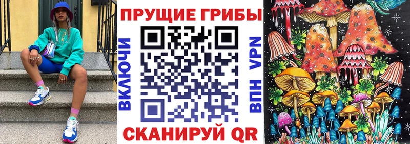 Псилоцибиновые грибы Psilocybe  Купить закладки  Моздок 